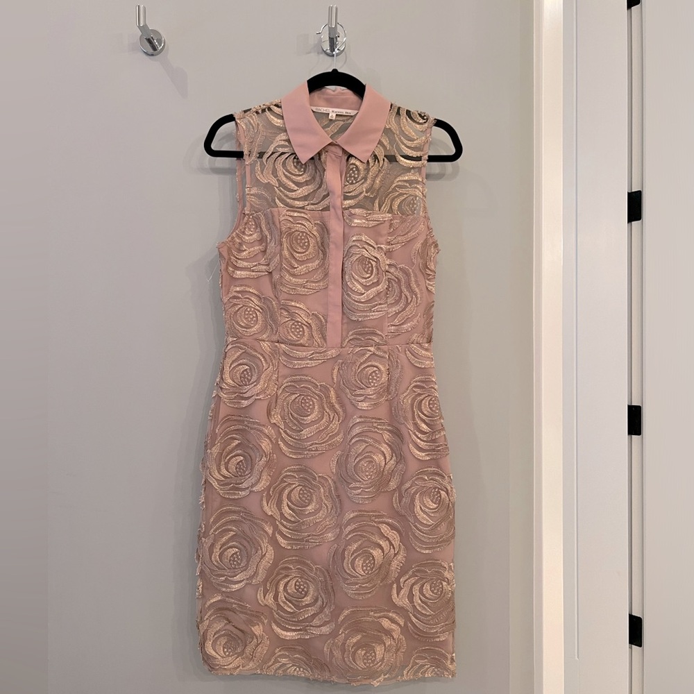 Rachel Roy Blush dress with Rose gold overlay